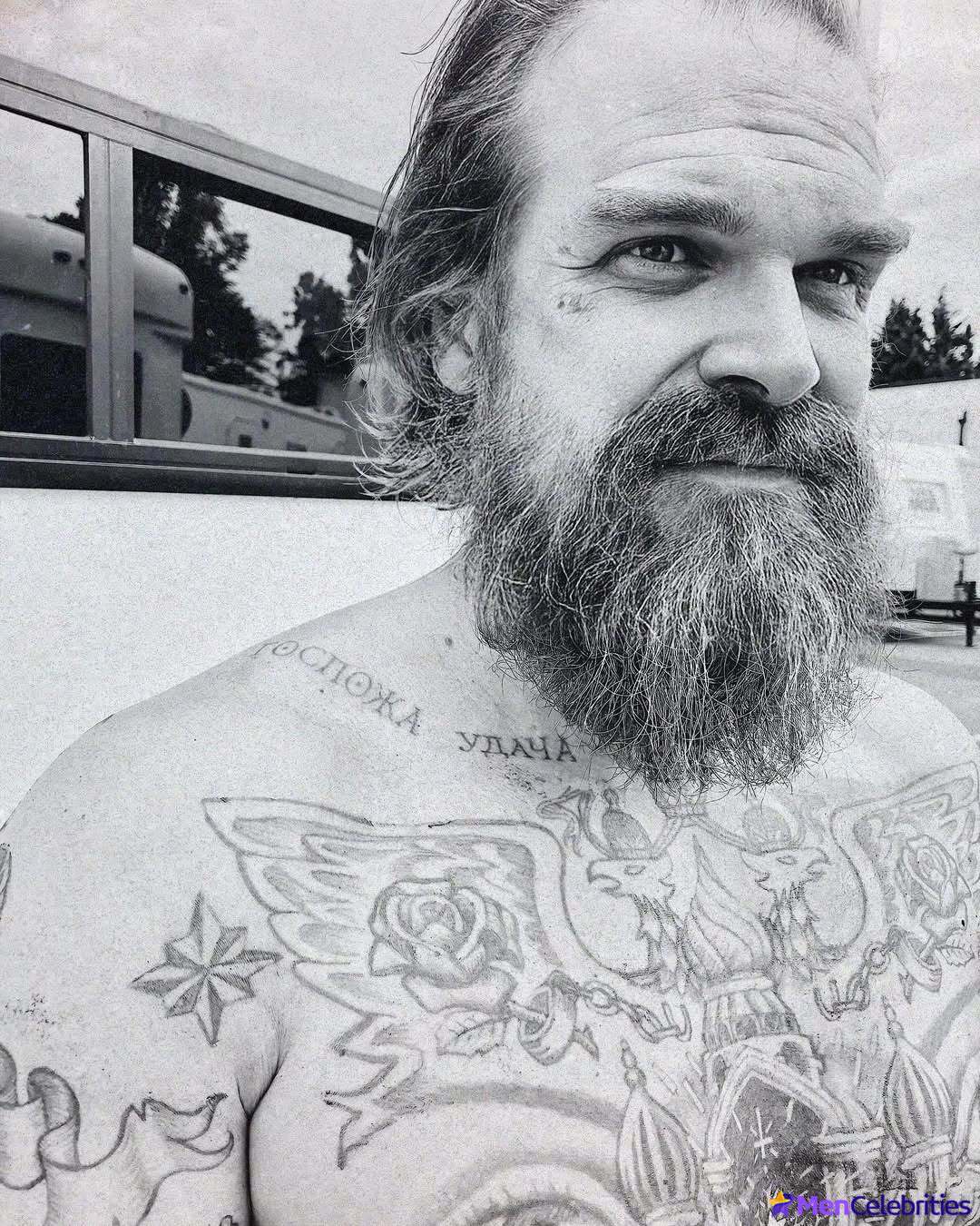 David Harbour shirtless and bulge pics