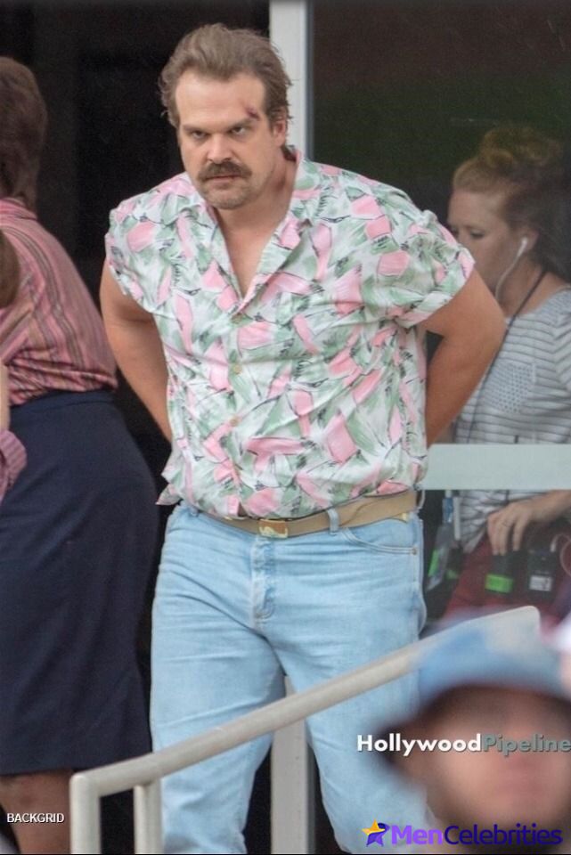 David Harbour shirtless and bulge pics