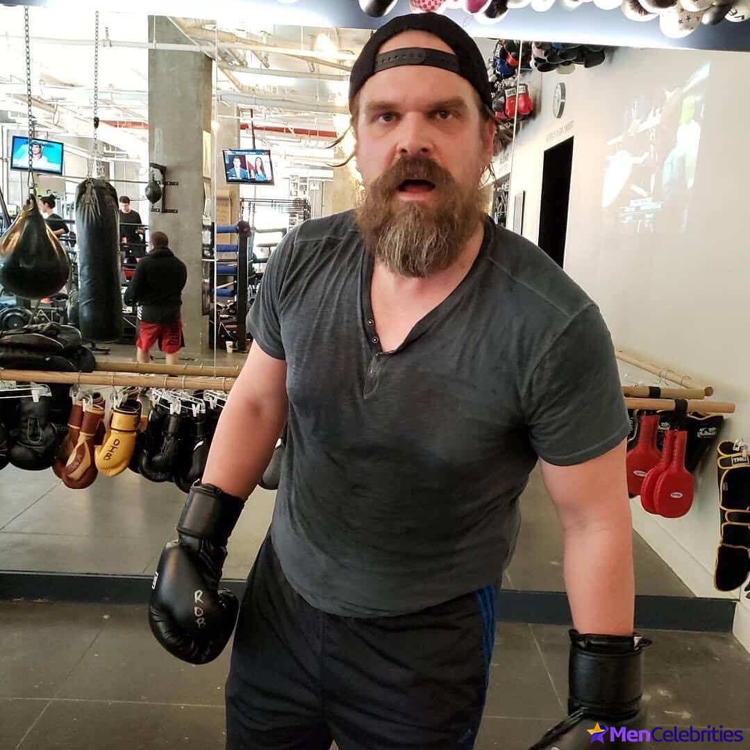 David Harbour shirtless and bulge pics