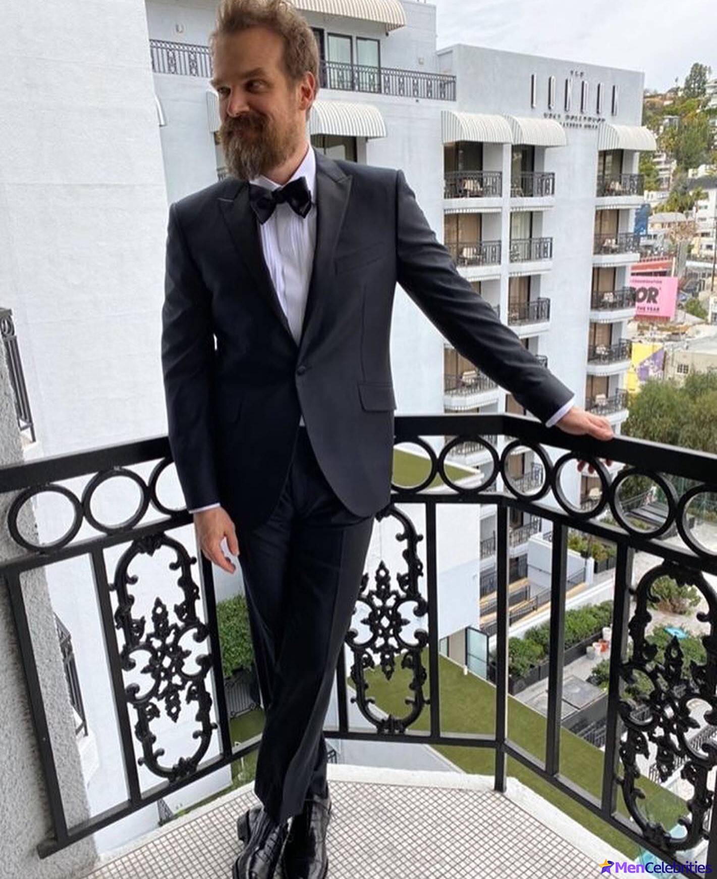 David Harbour shirtless and bulge pics