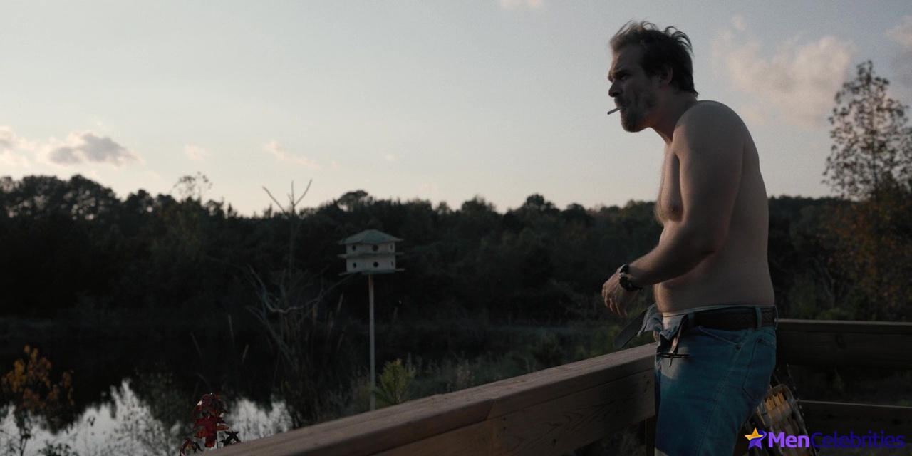 David Harbour nude and sexy scenes