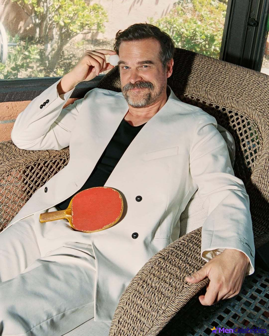 David Harbour shirtless and bulge pics