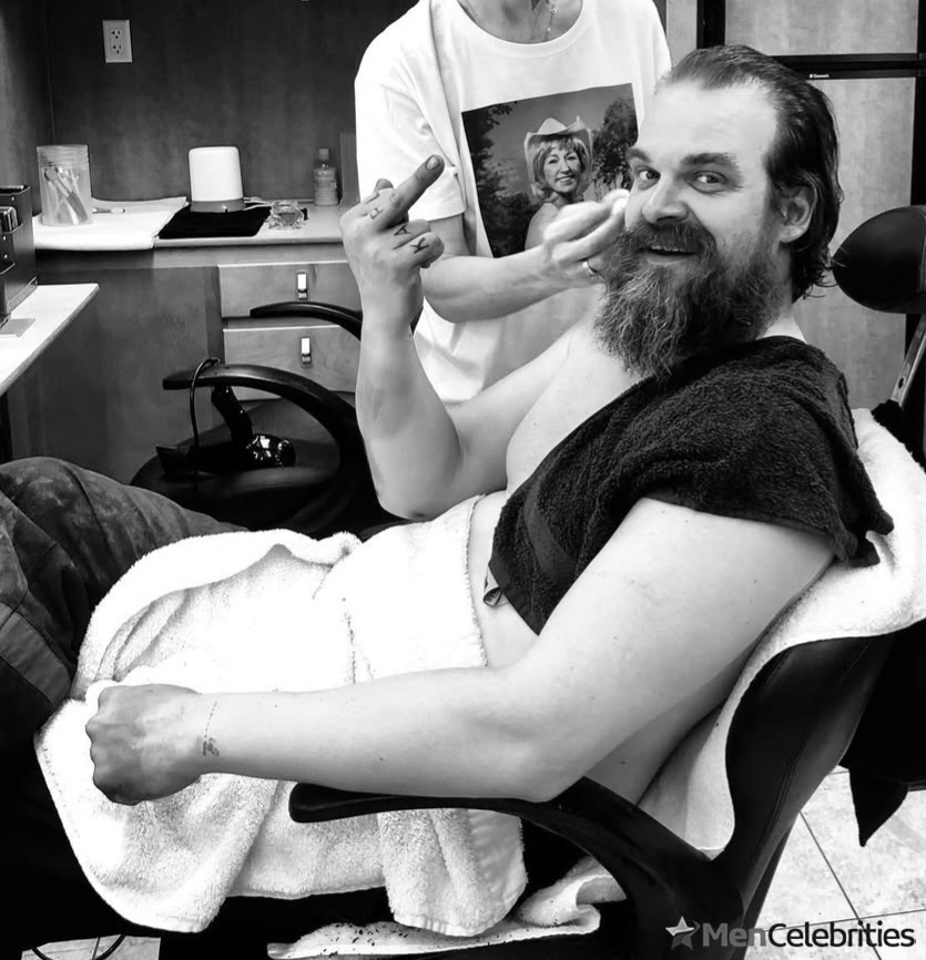 David Harbour shirtless and bulge pics