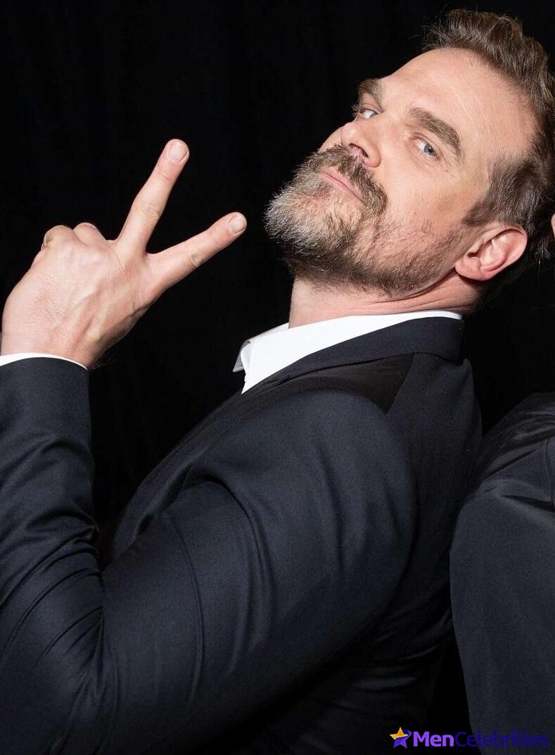 David Harbour shirtless and bulge pics