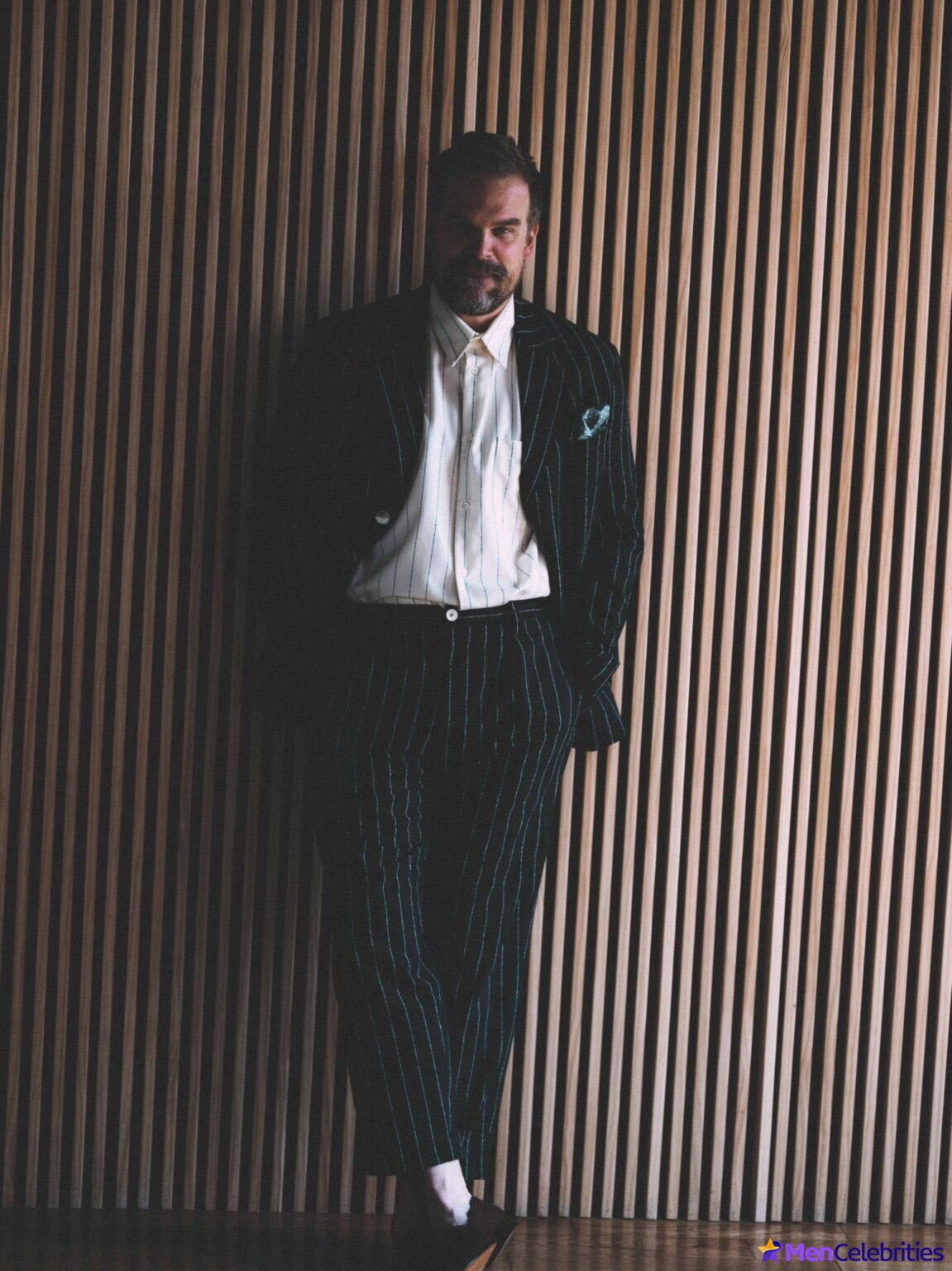 David Harbour shirtless and bulge pics