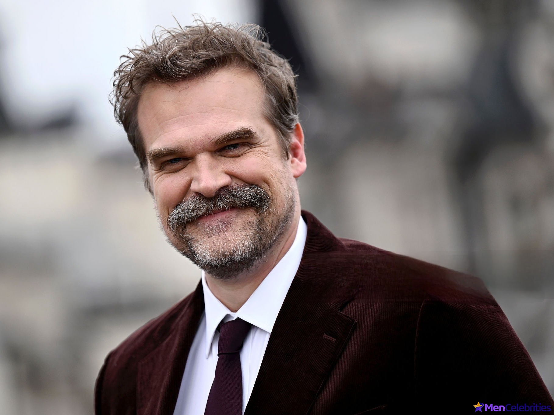 David Harbour shirtless and bulge pics