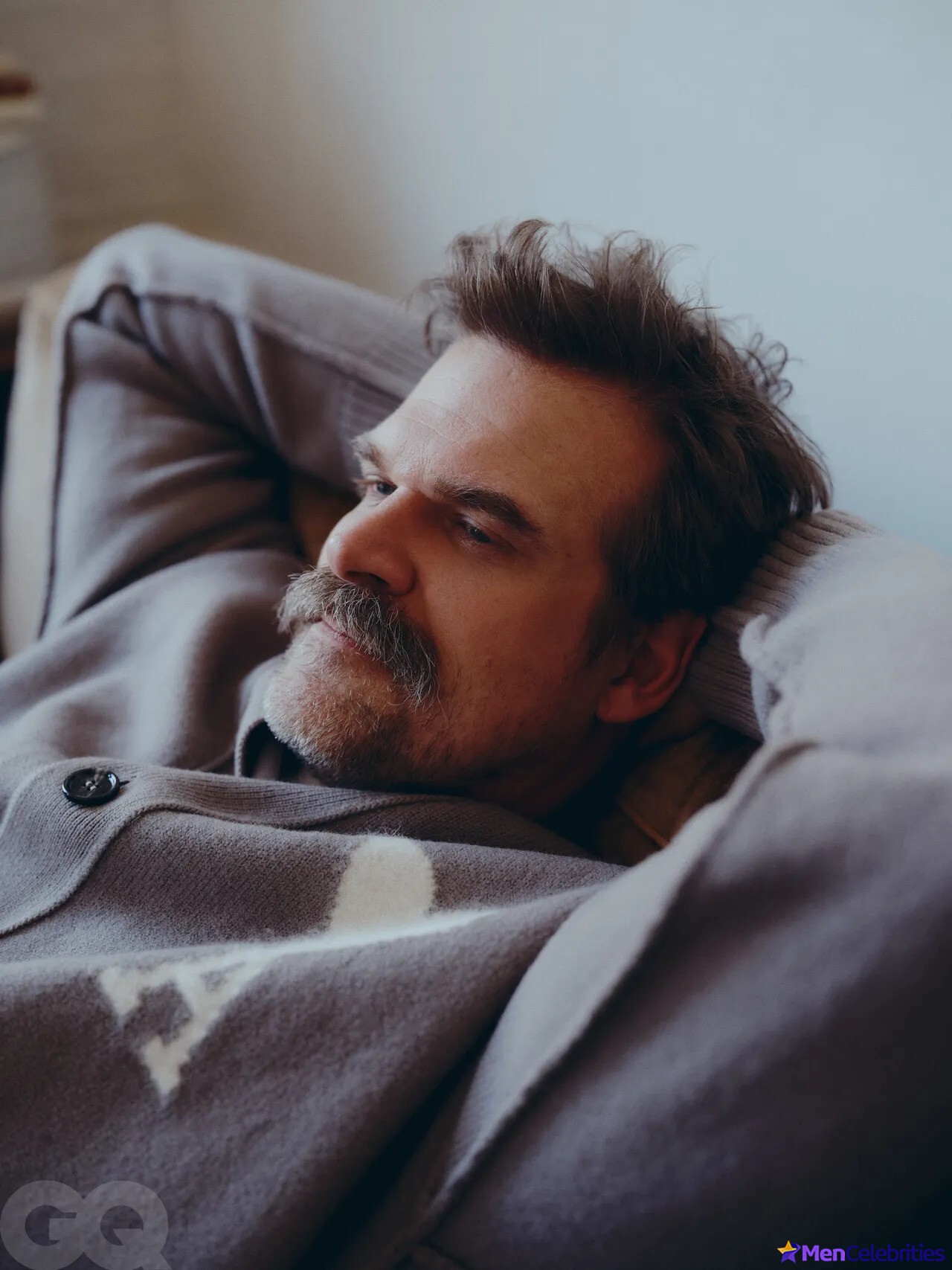 David Harbour shirtless and bulge pics