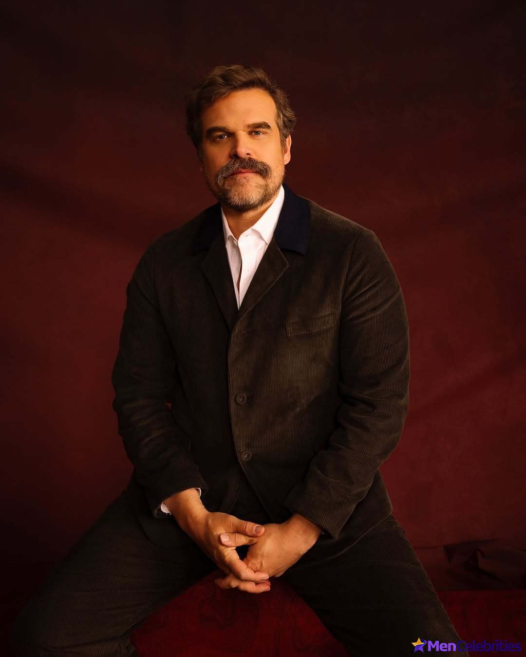 David Harbour shirtless and bulge pics