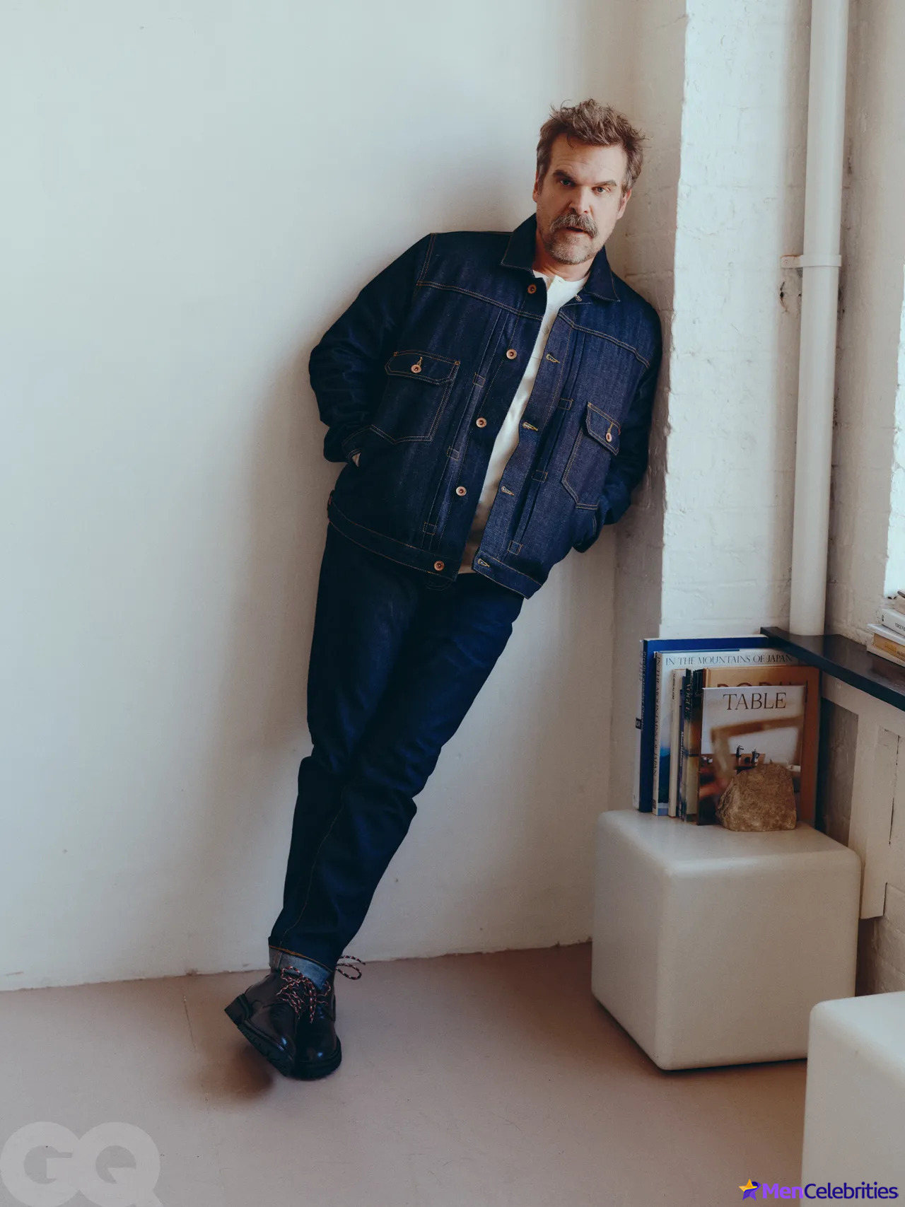 David Harbour shirtless and bulge pics