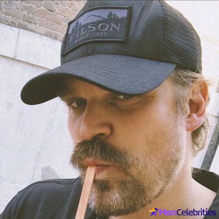 David Harbour shirtless and bulge pics