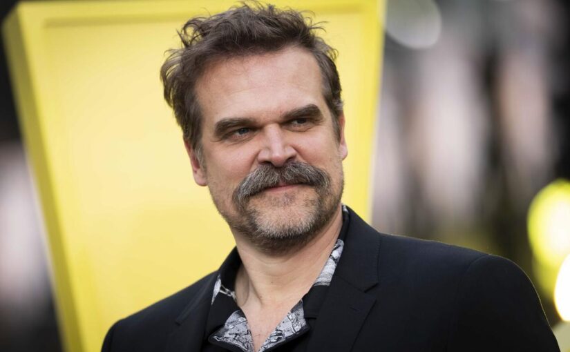 David Harbour Nude Scenes And Penis Bulge Pics Collection Site