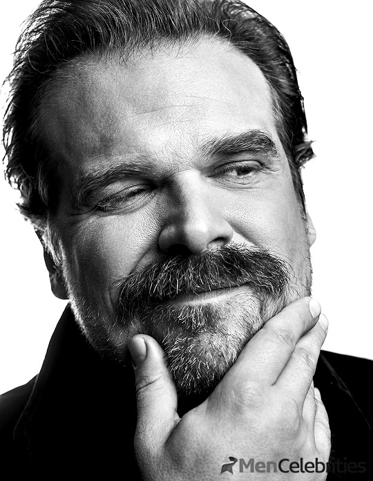 David Harbour shirtless and bulge pics