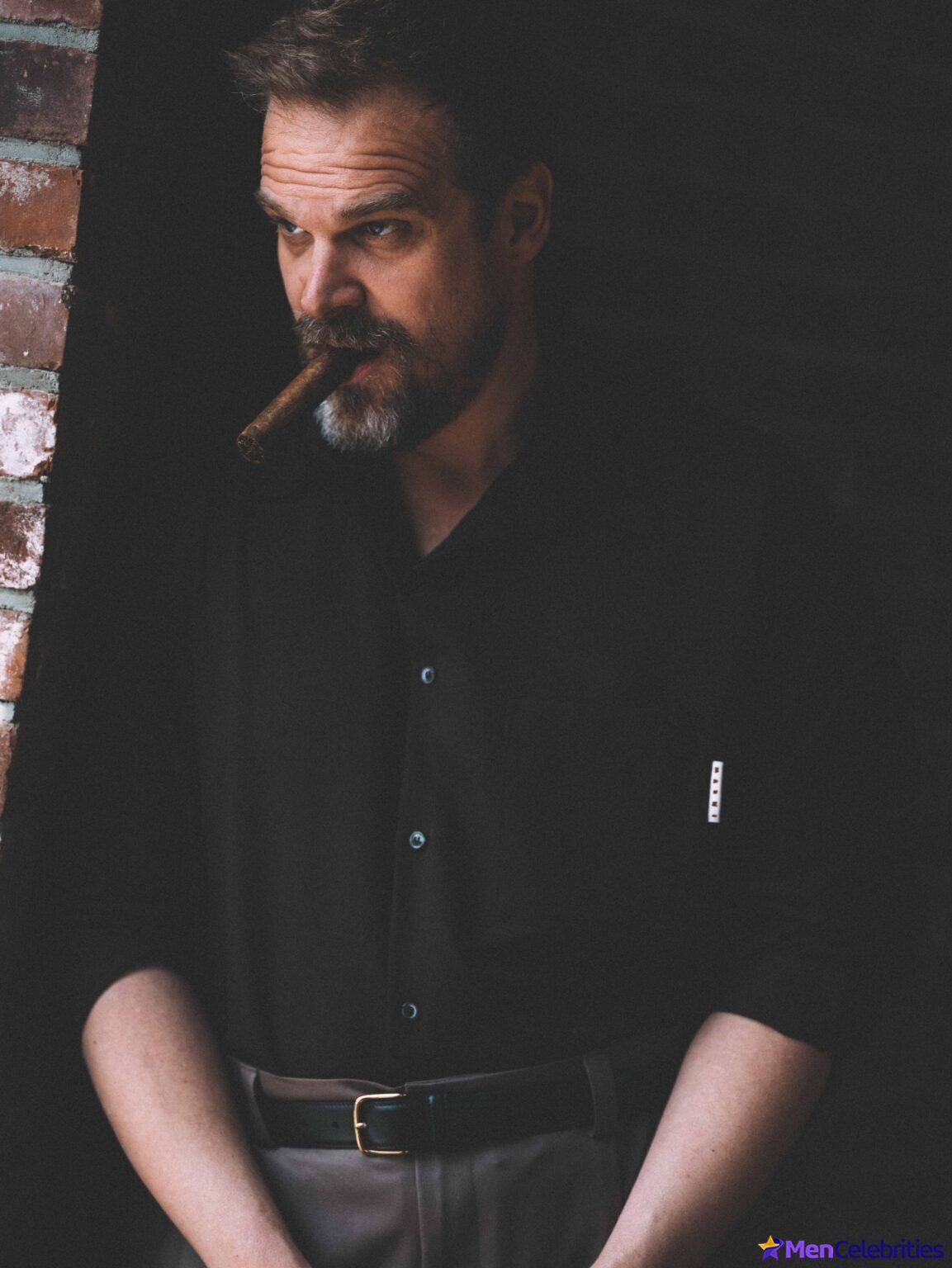 David Harbour shirtless and bulge pics