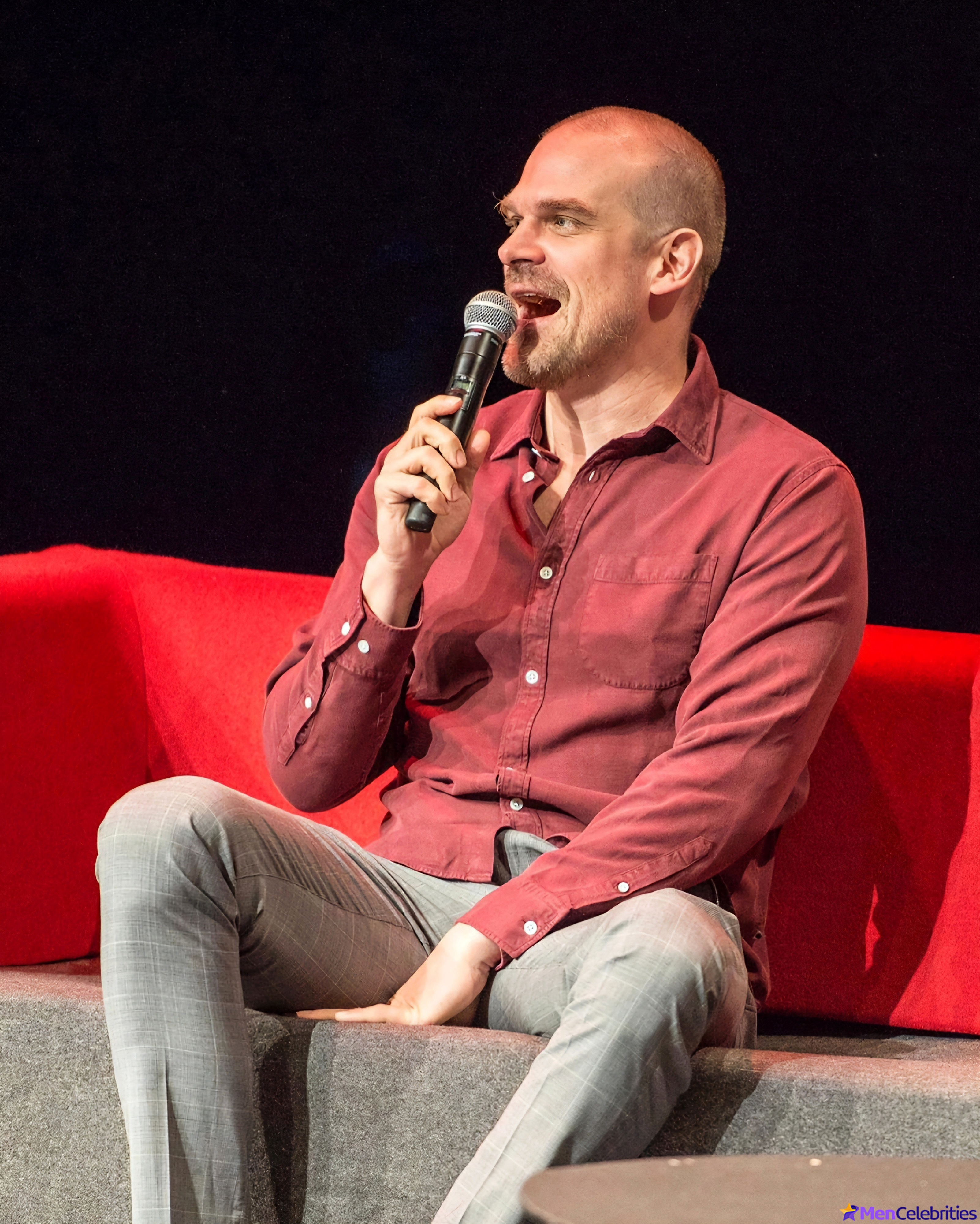 David Harbour shirtless and bulge pics