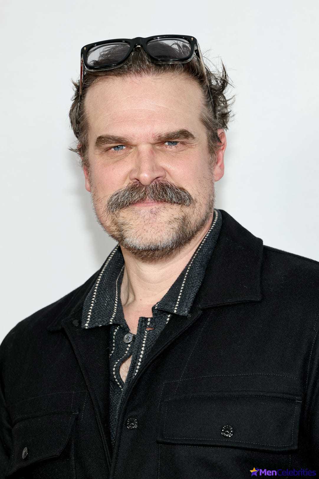 David Harbour shirtless and bulge pics