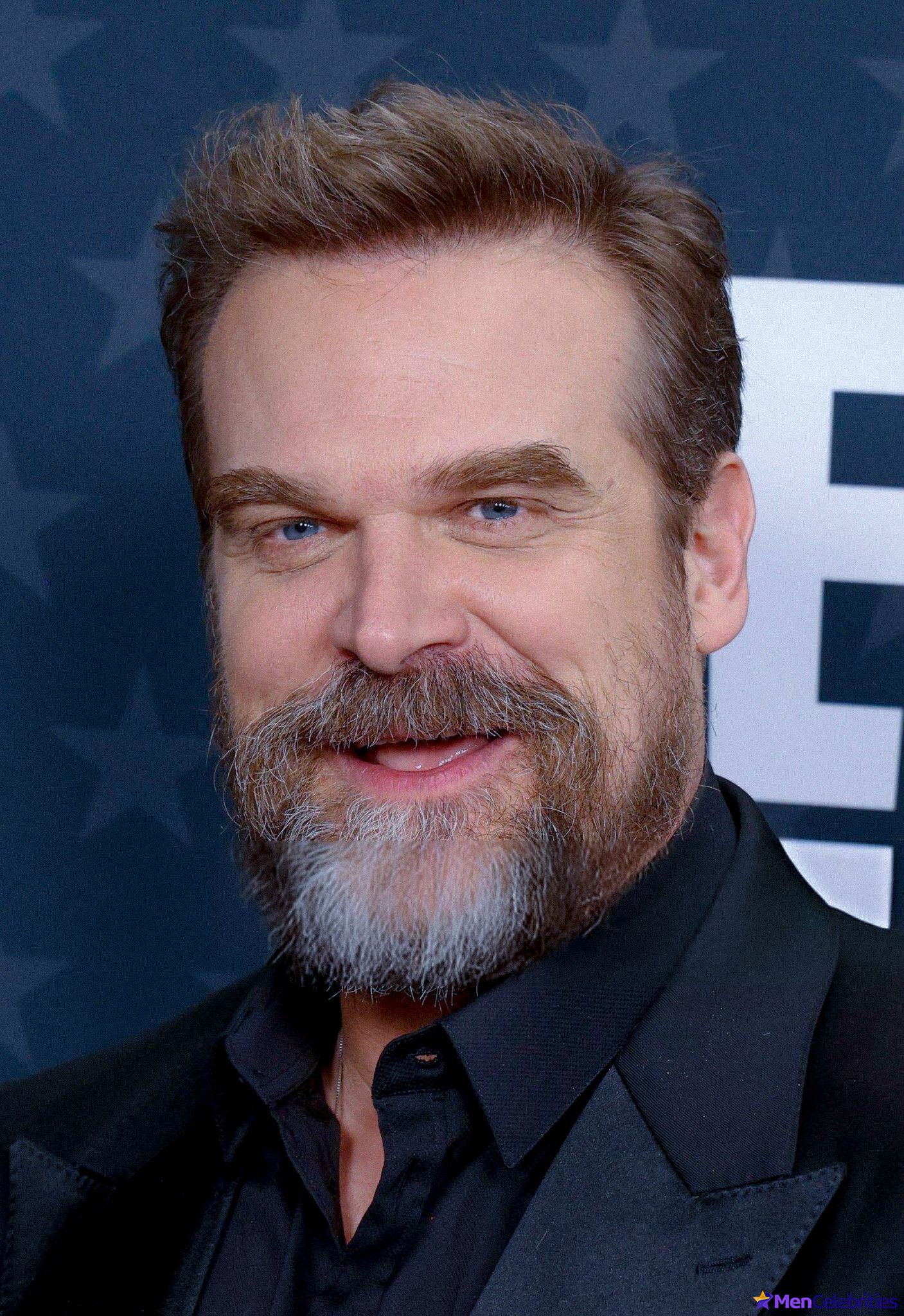 David Harbour shirtless and bulge pics