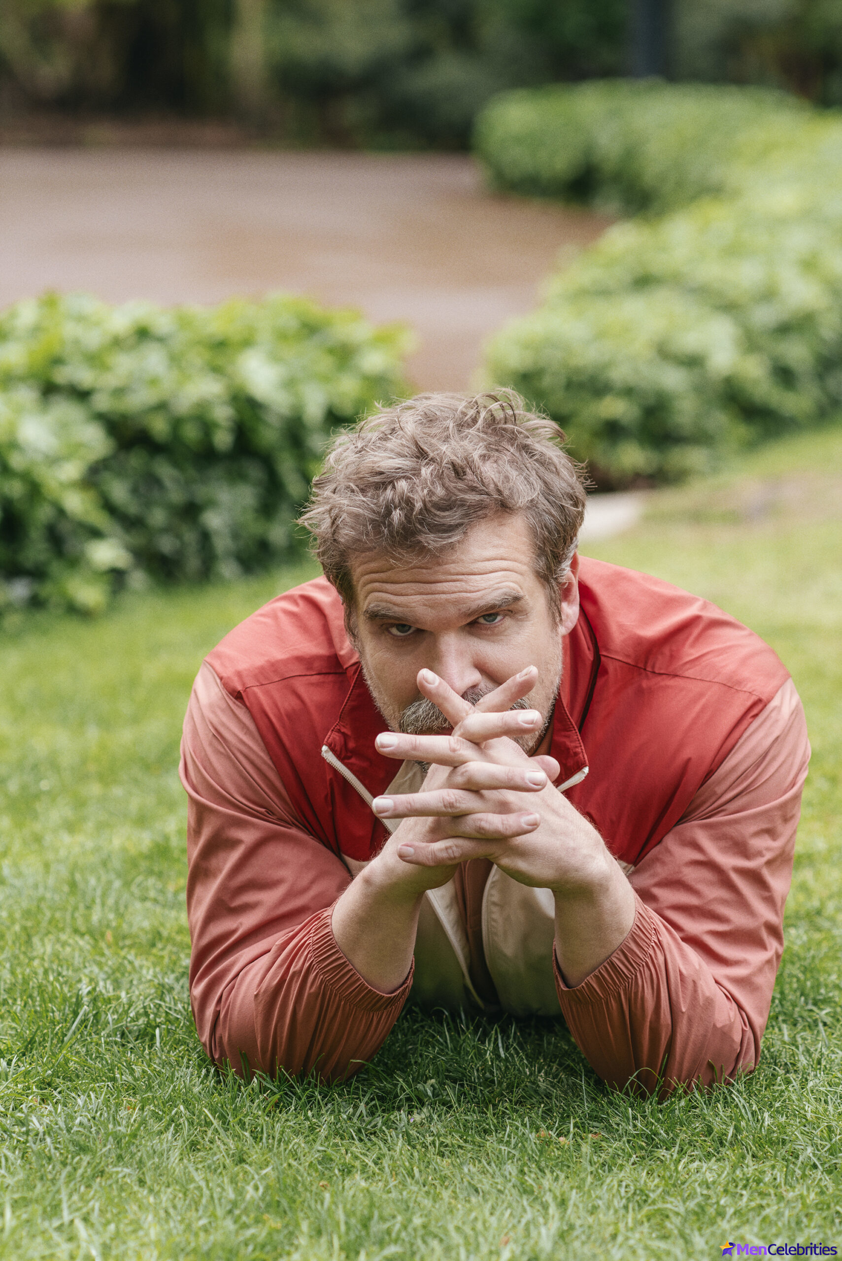 David Harbour shirtless and bulge pics