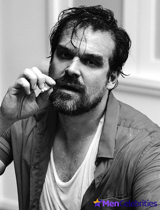 David Harbour shirtless and bulge pics