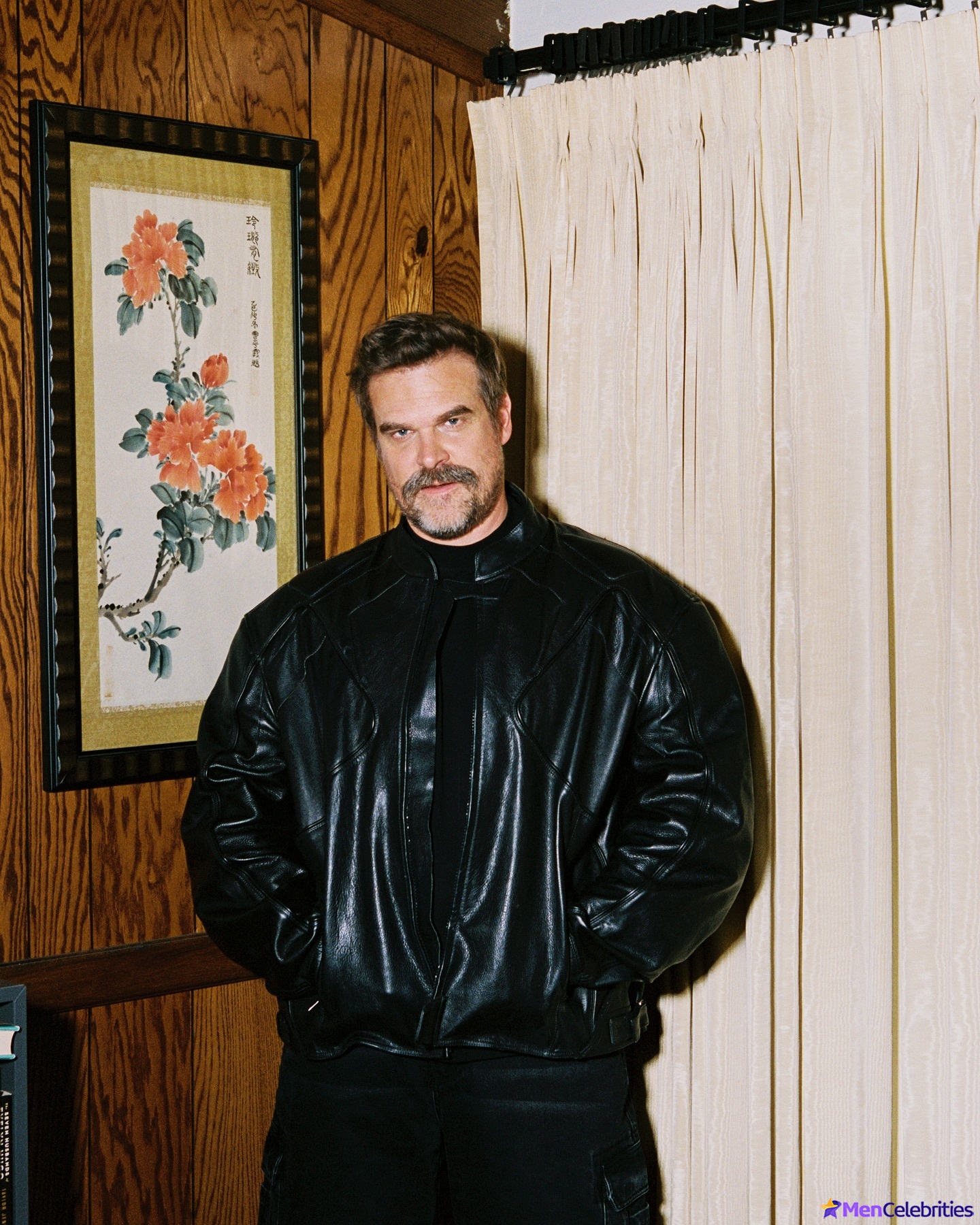 David Harbour shirtless and bulge pics