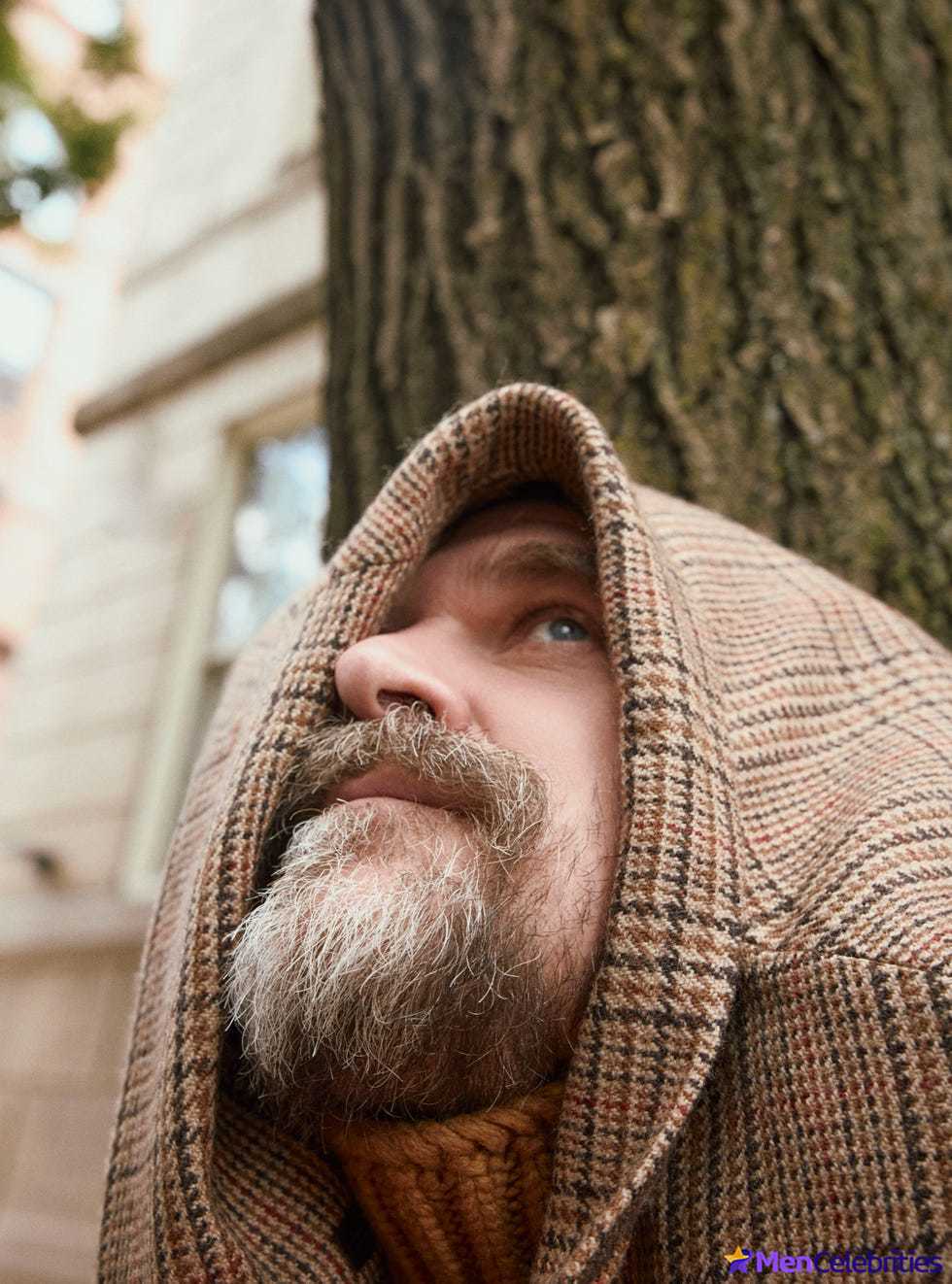 David Harbour shirtless and bulge pics