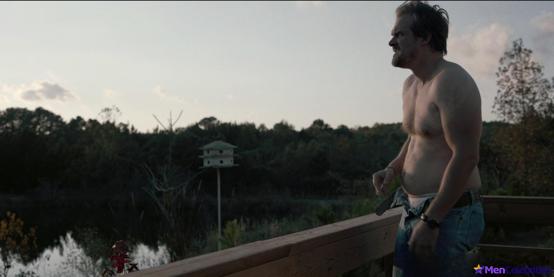 David Harbour nude and sexy scenes