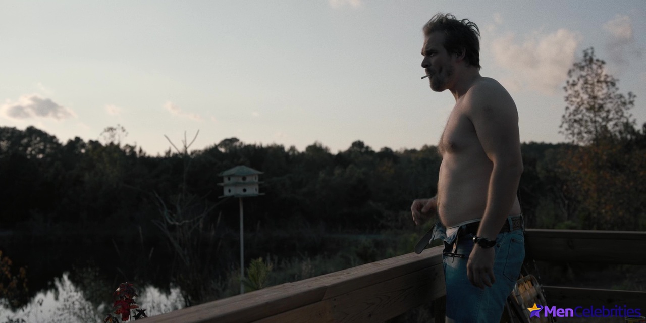 David Harbour nude and sexy scenes