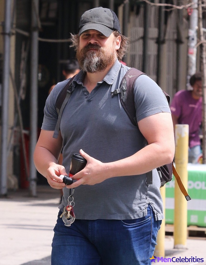 David Harbour shirtless and bulge pics