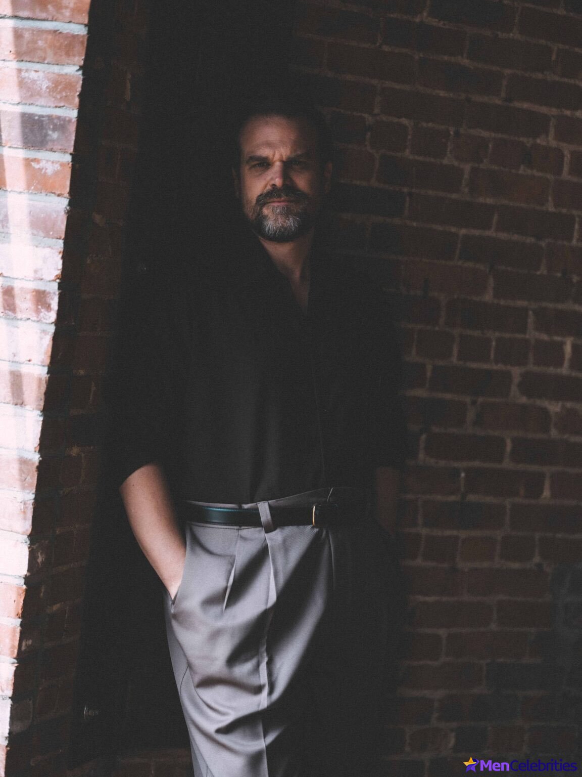 David Harbour shirtless and bulge pics