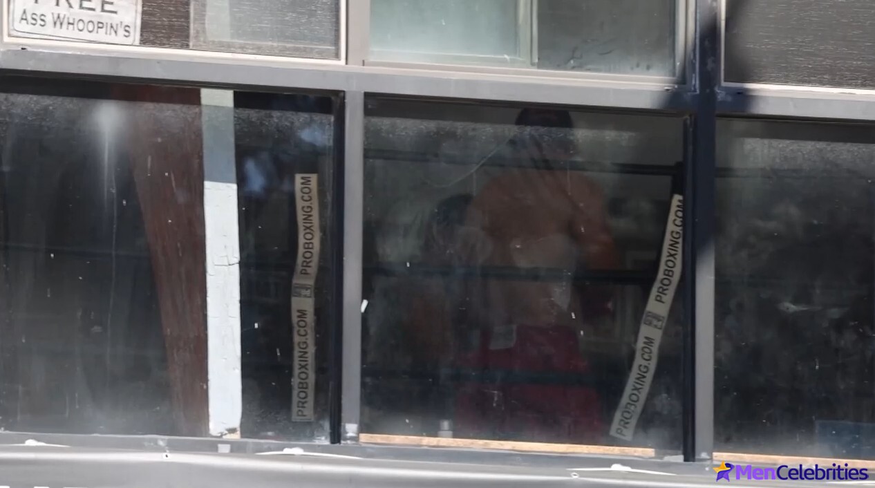 Joshua Jackson Shows Off Boxing Skills Shirtless in Los Angeles