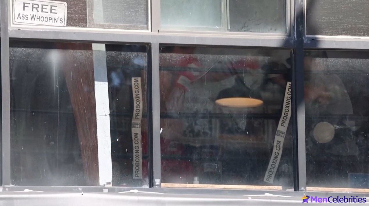 Joshua Jackson Shows Off Boxing Skills Shirtless in Los Angeles