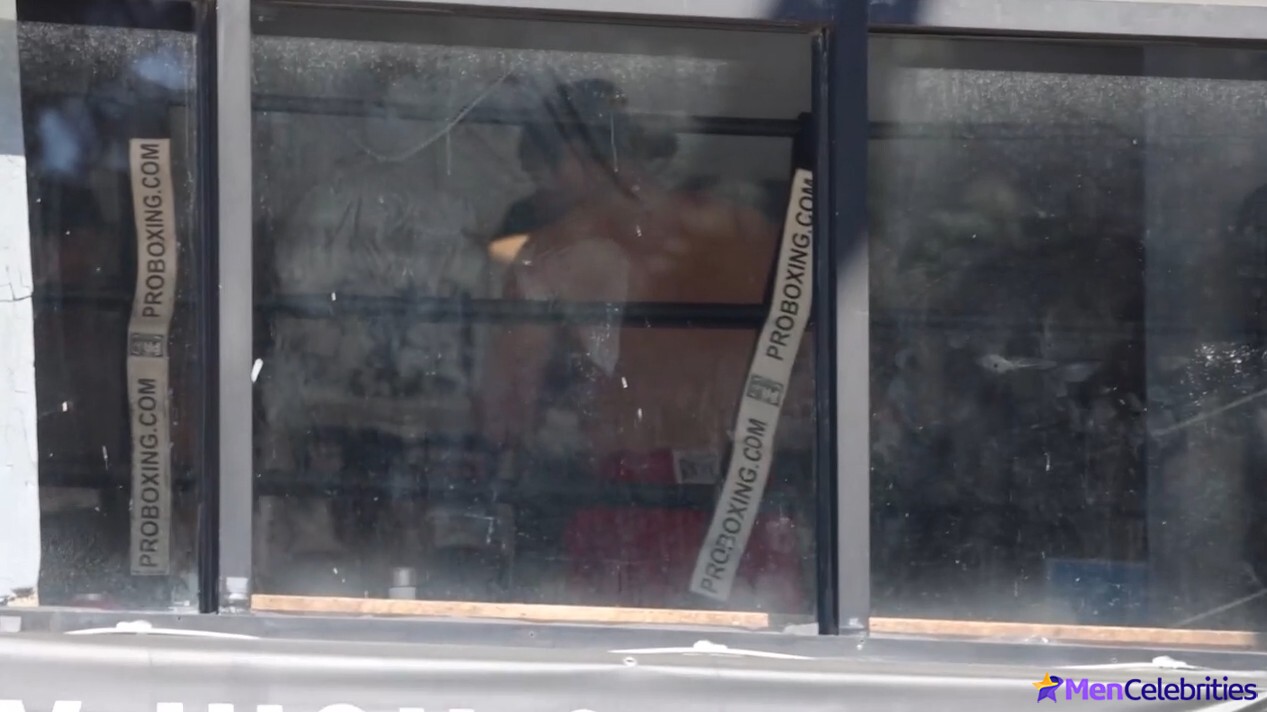 Joshua Jackson Shows Off Boxing Skills Shirtless in Los Angeles