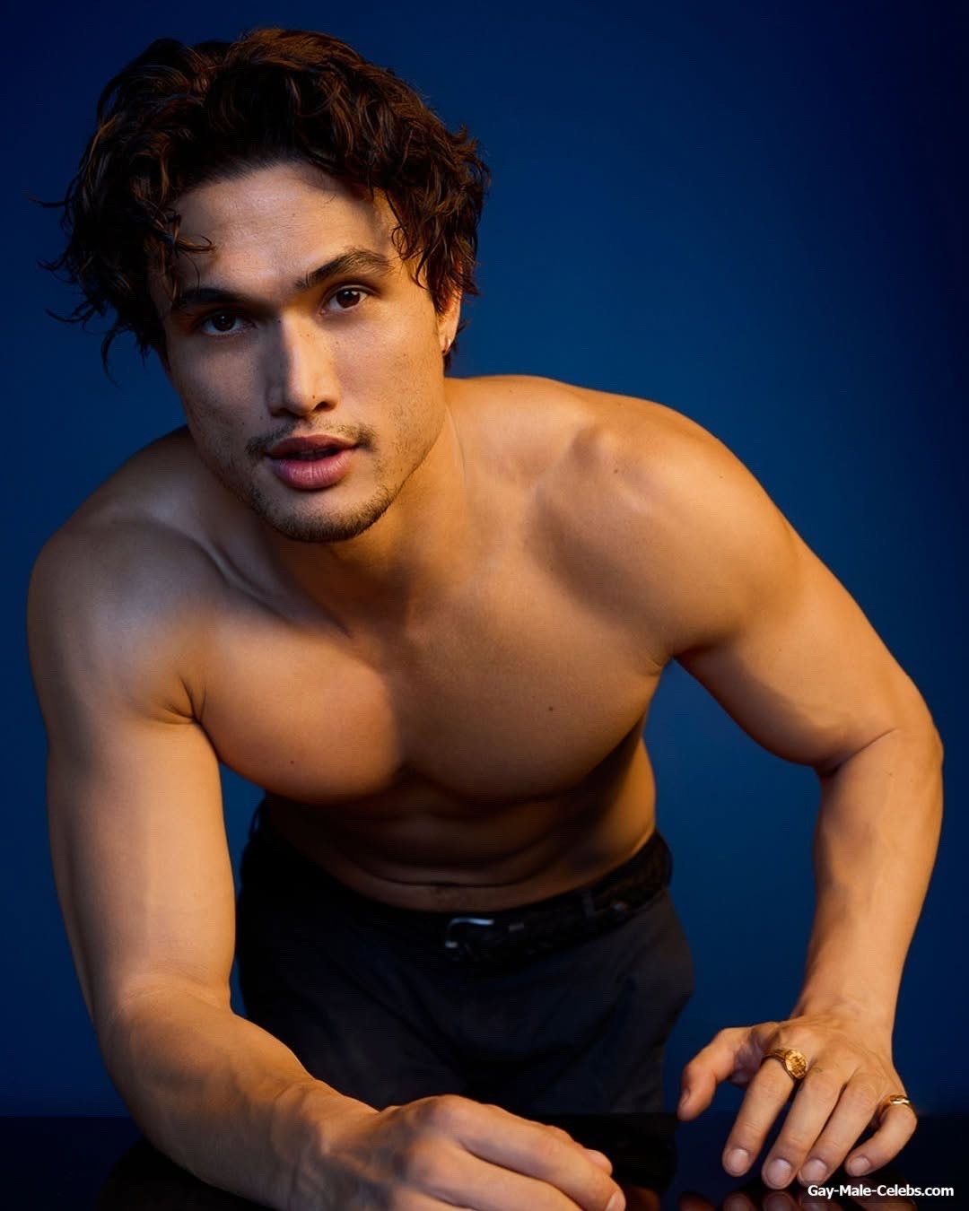 Charles Melton Shirtless And Cock Bulge Pics