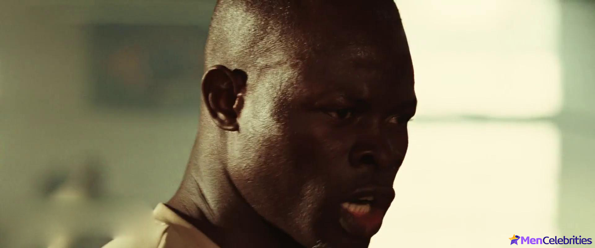 Djimon Hounsou frontal nude and sexy scenes