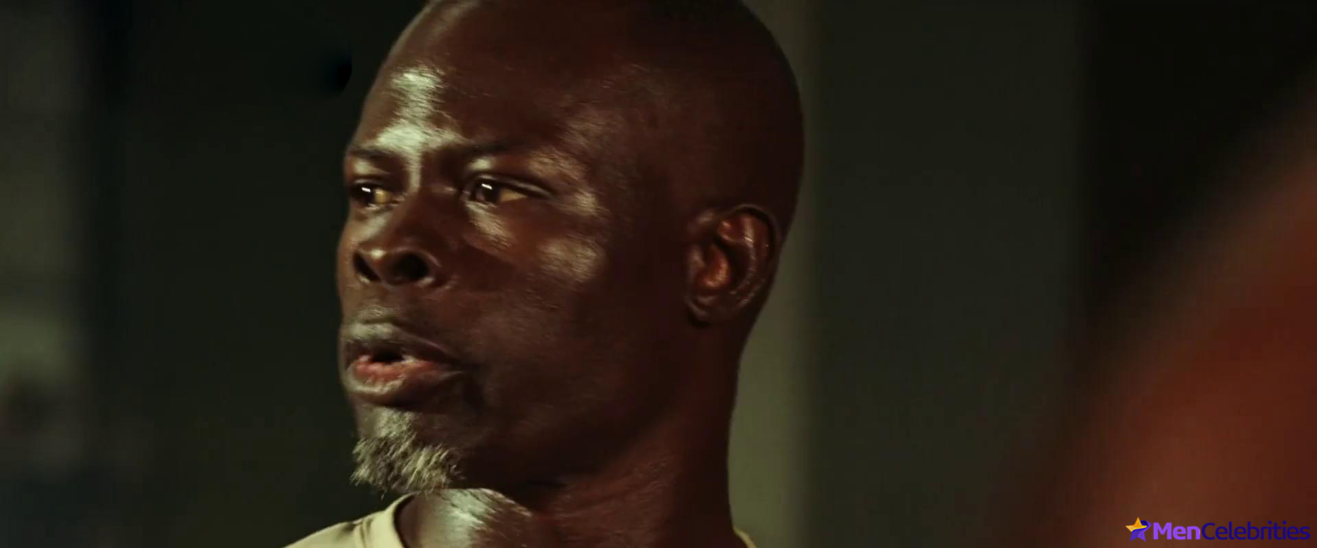 Djimon Hounsou frontal nude and sexy scenes