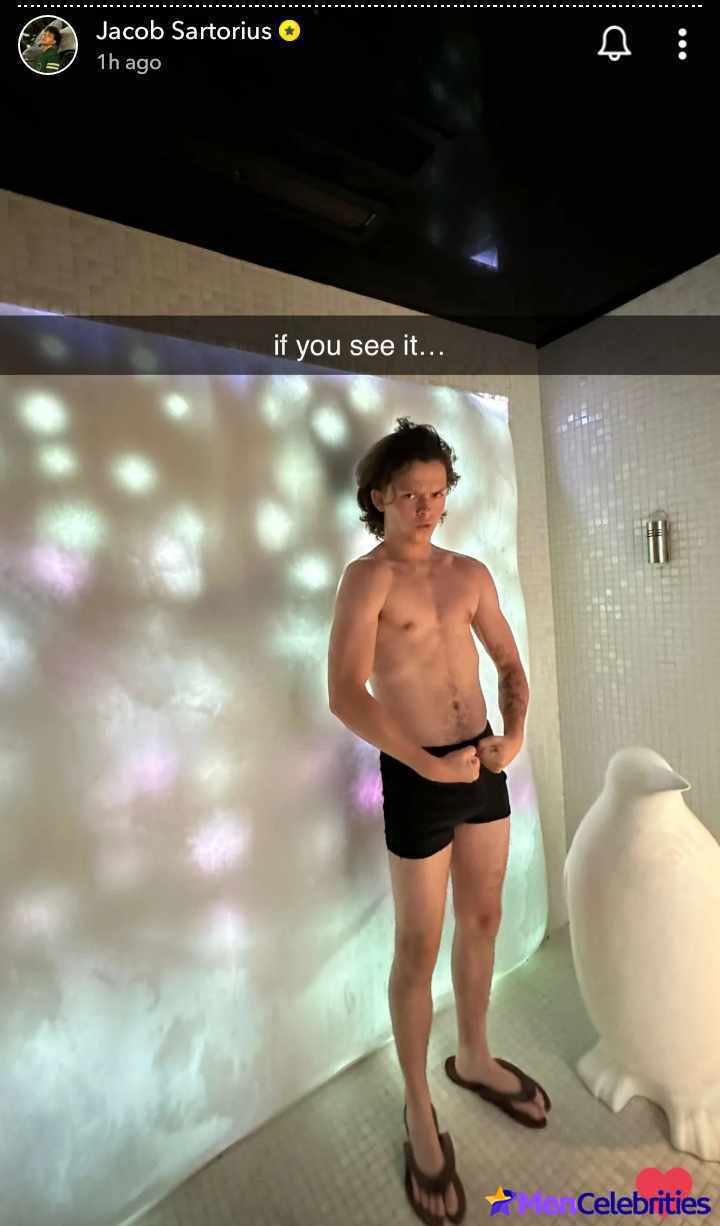Jacob Sartorius nude and bulge penis photos