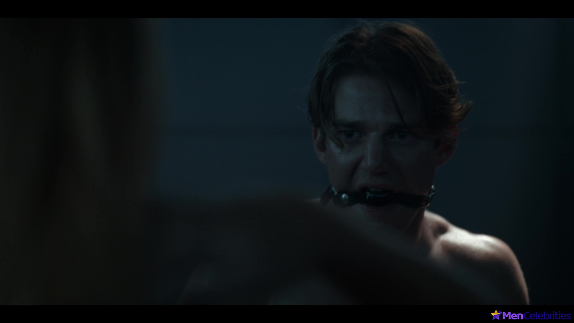 Nico Greetham nude and gay scenes