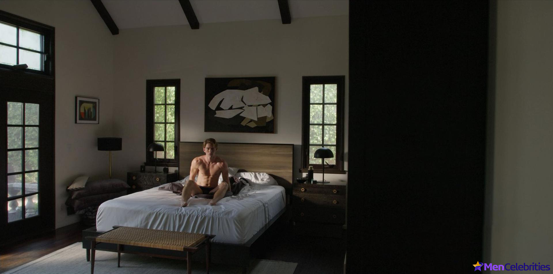 Nico Greetham nude and gay scenes