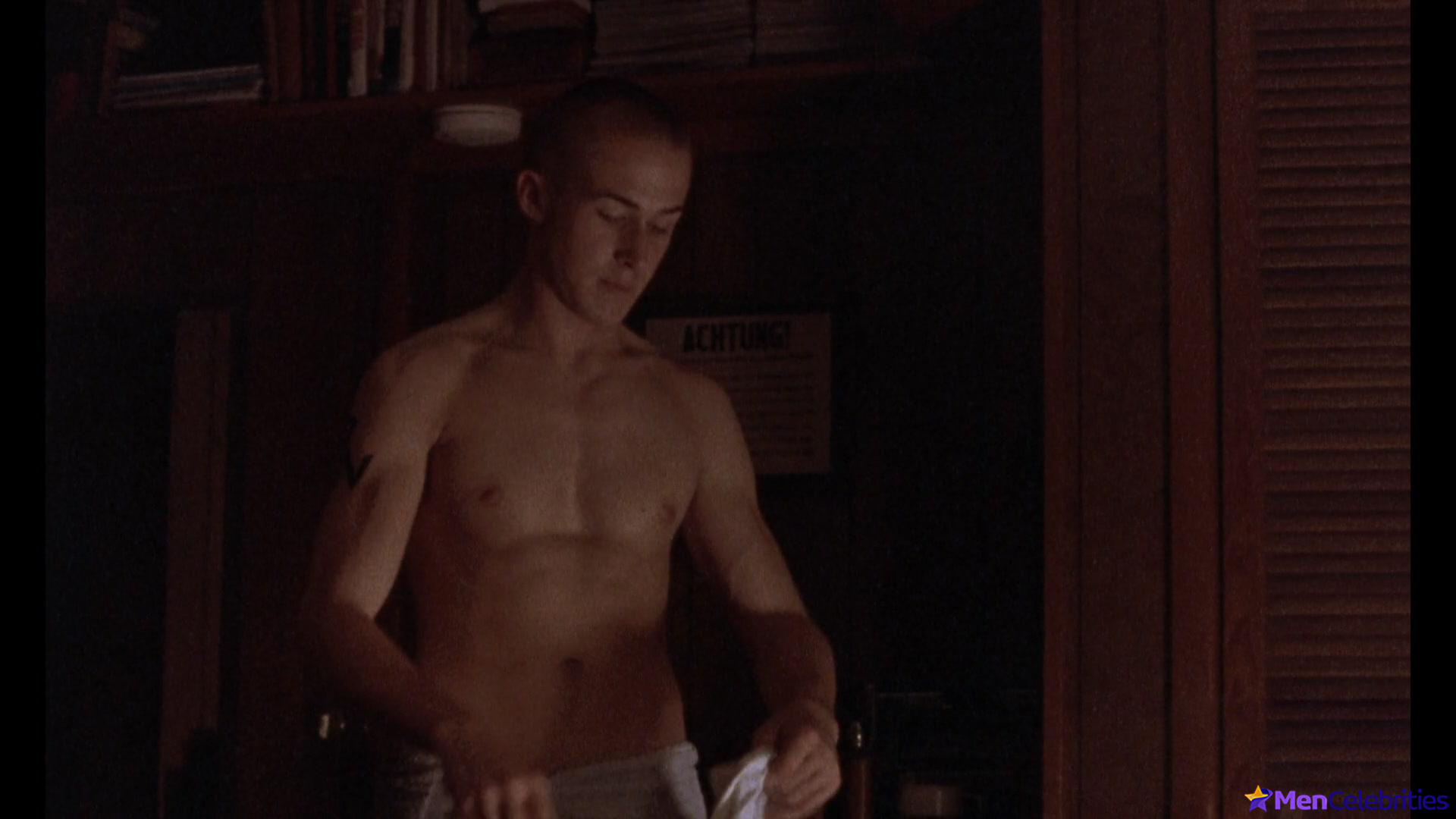 Ryan Gosling nude and sex captures