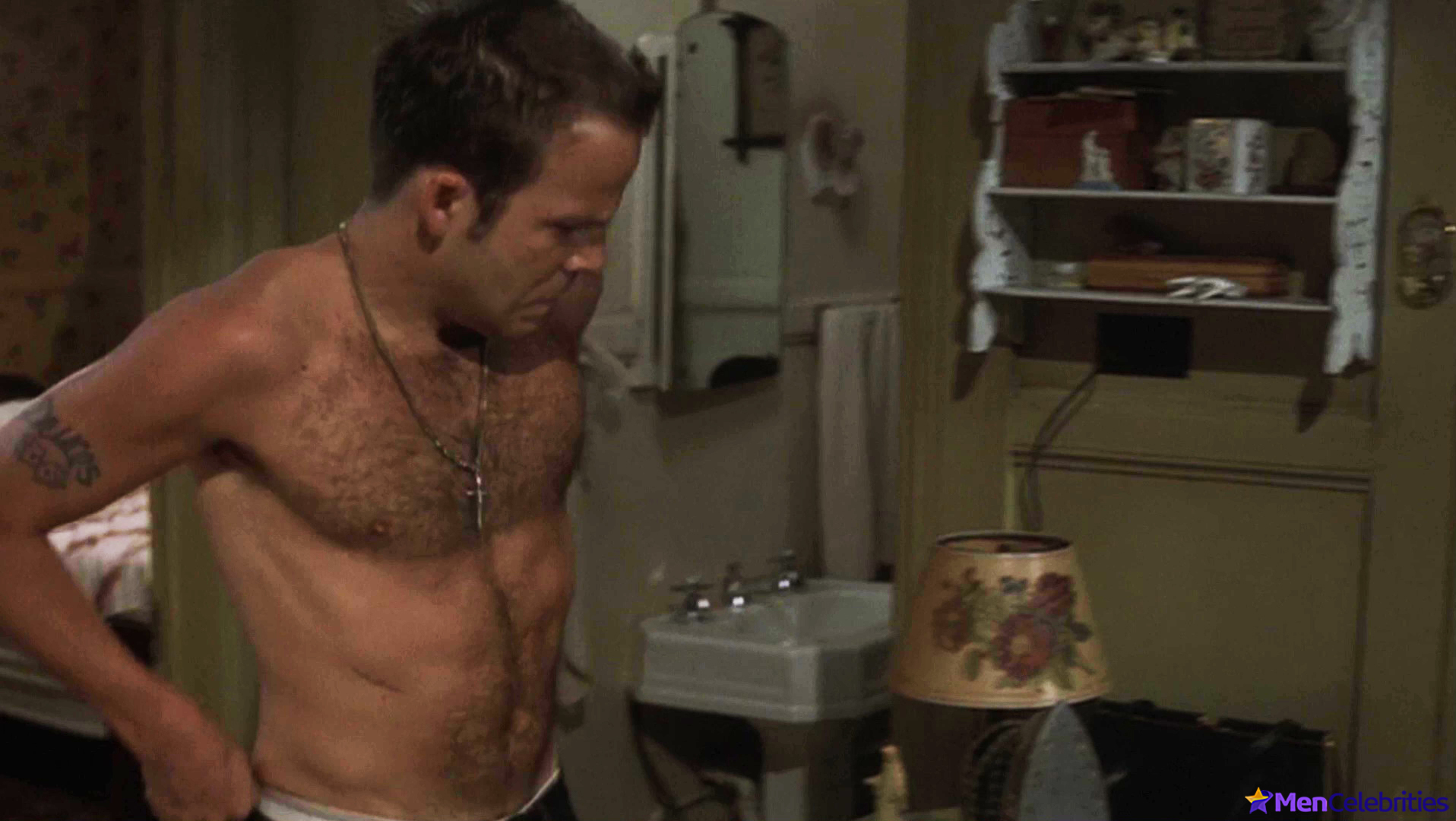 Stephen Dorff frontal nude and sex scenes