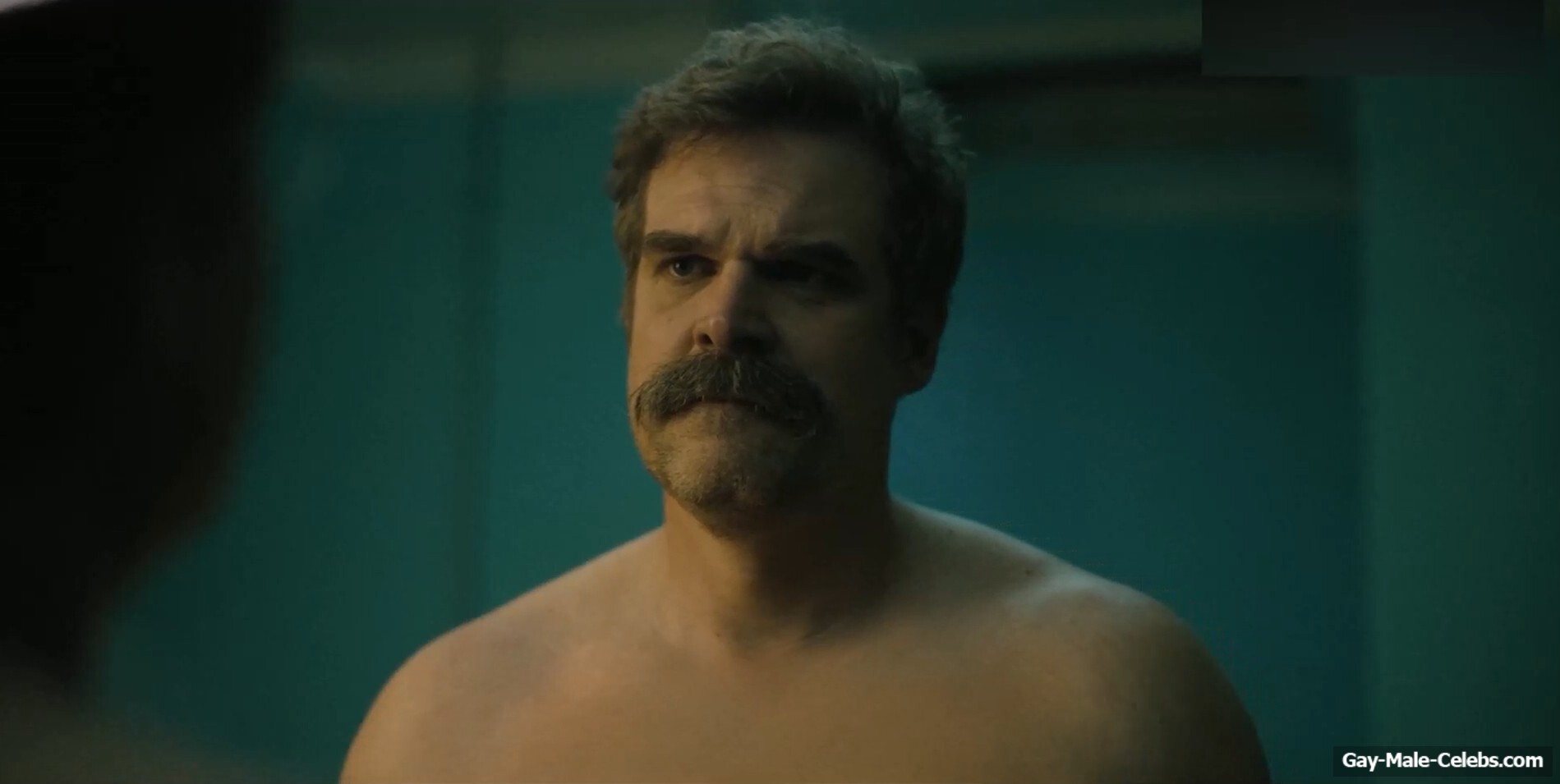 Jason Bateman and David Harbour Underwear Scenes in Dtf St Louis