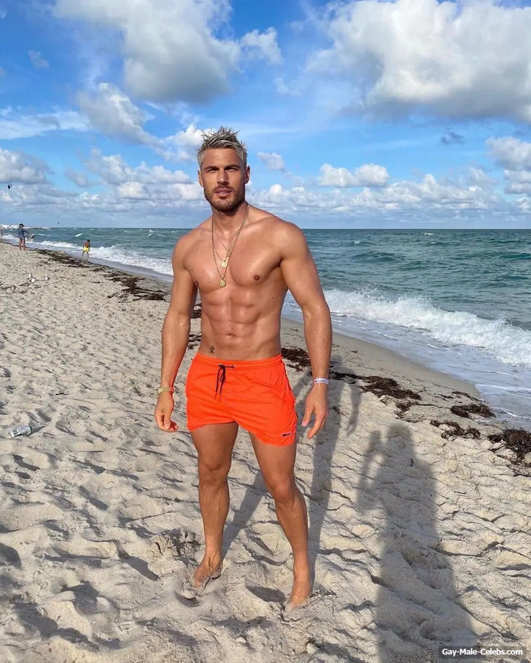 Chris Appleton shirtless and cock bulge photos