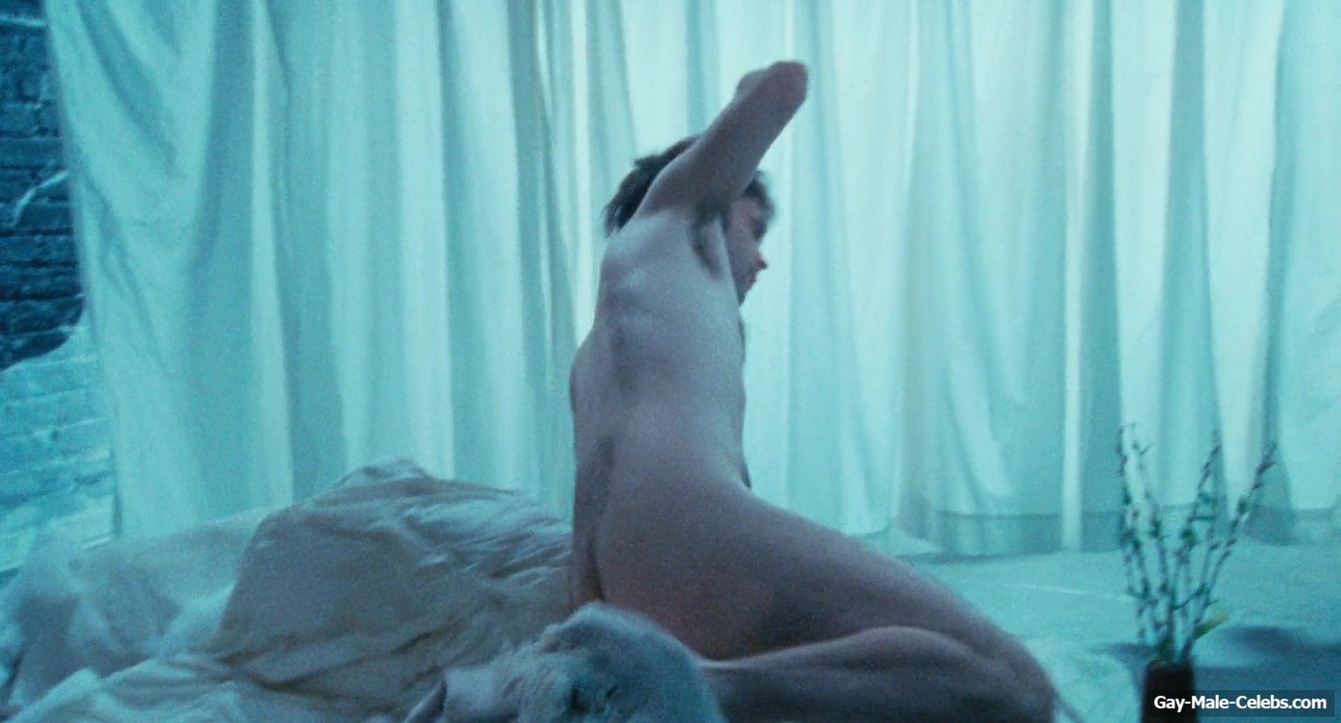 Hal Baum Frontal Nude and Gay Sex Scenes in Anything That Moves