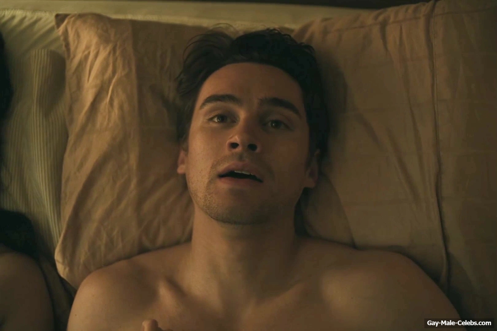 Michael Johnston Nude And Sex Scenes in Obsession