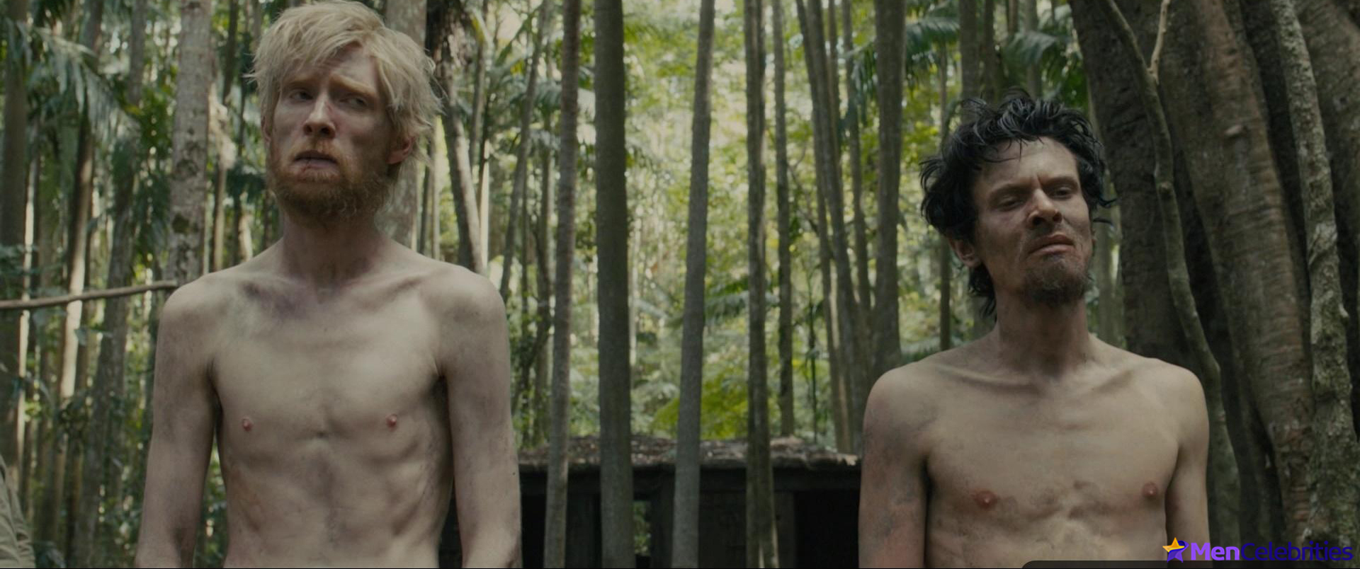Domhnall Gleeson nude and sex scenes