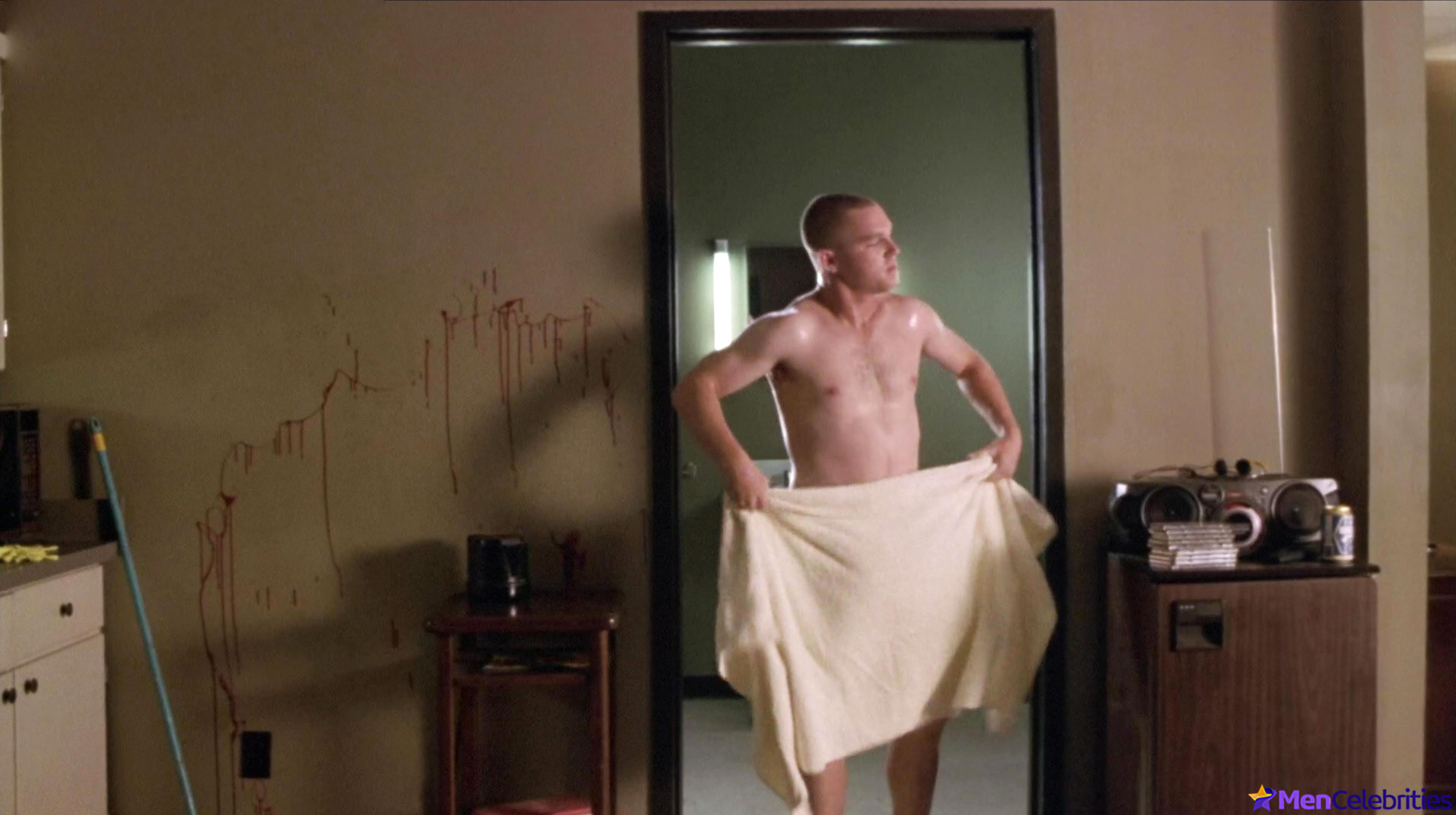 Shawn Hatosy nude and sex scenes