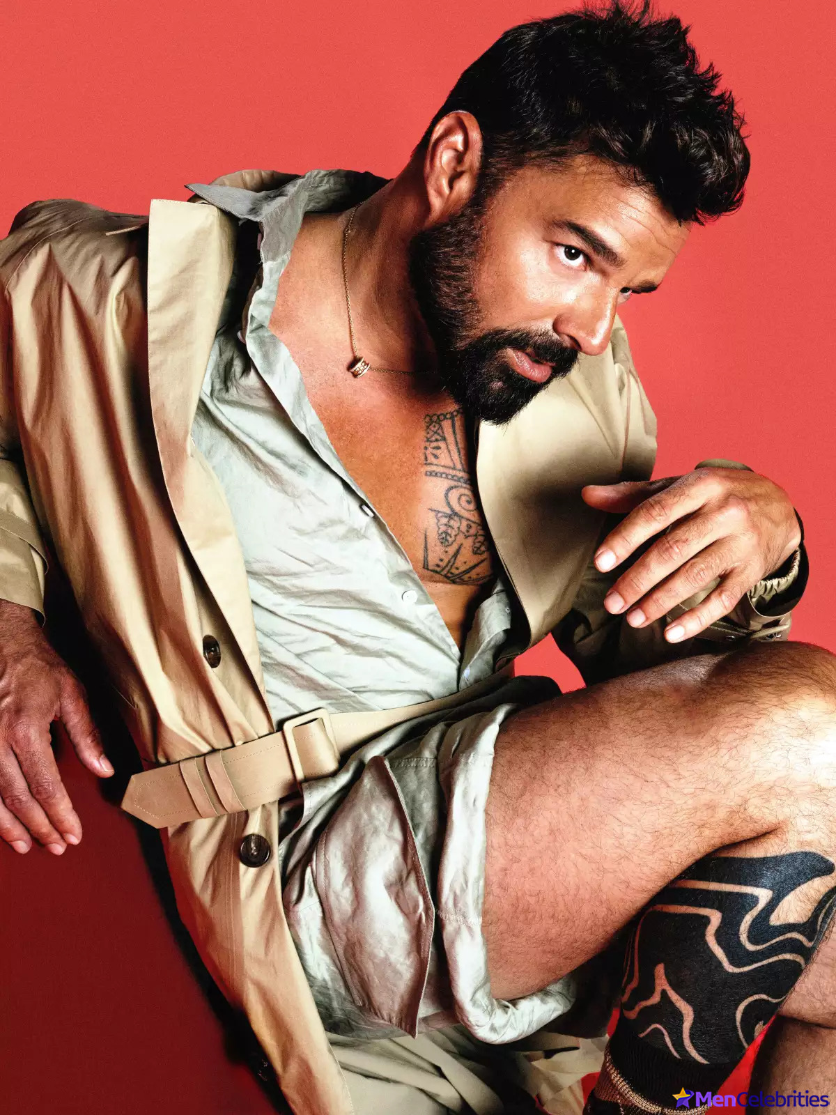 Ricky Martin cock bulge and naked pics