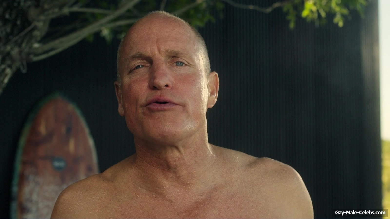 Woody Harrelson and Matthew McConaughey Shirtless Scenes in Brothers