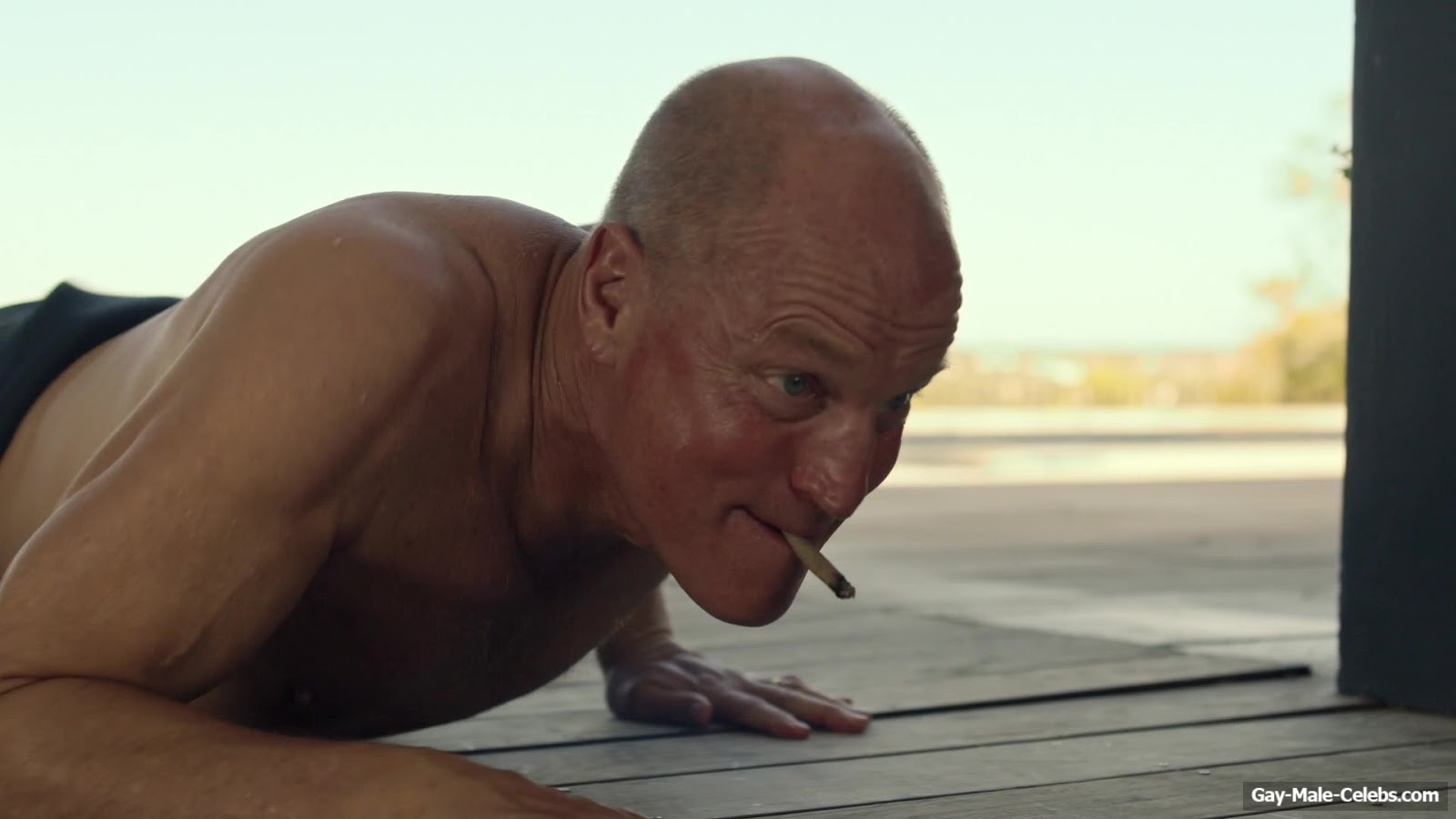 Woody Harrelson and Matthew McConaughey Shirtless Scenes in Brothers