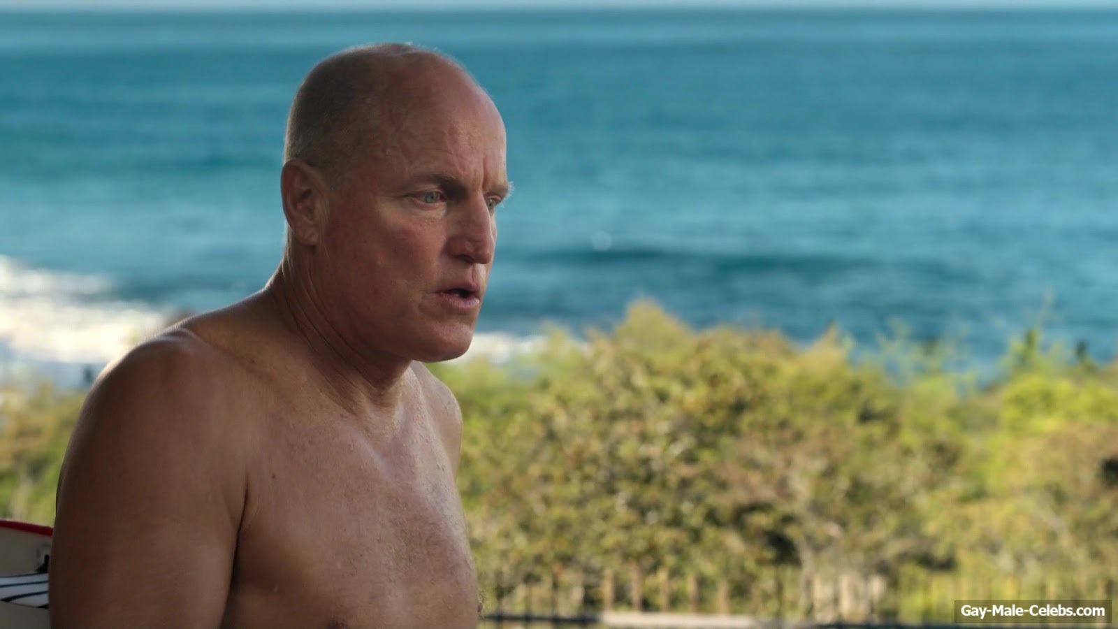 Woody Harrelson and Matthew McConaughey Shirtless Scenes in Brothers