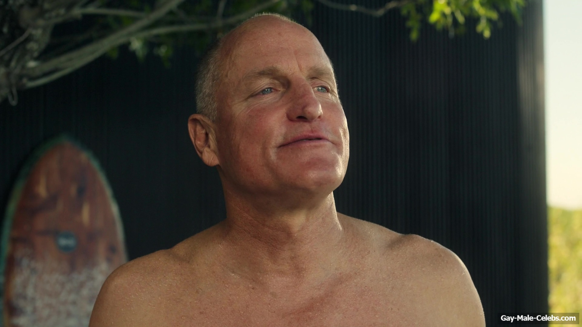 Woody Harrelson and Matthew McConaughey Shirtless Scenes in Brothers